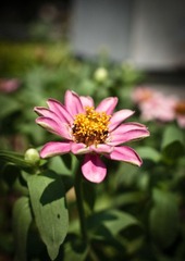 20120715-164.JPG