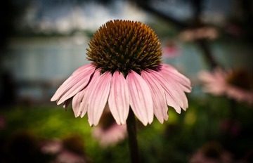 20120715-167.JPG