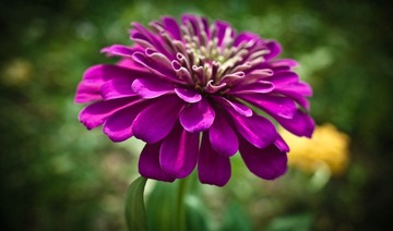20120715-171.JPG