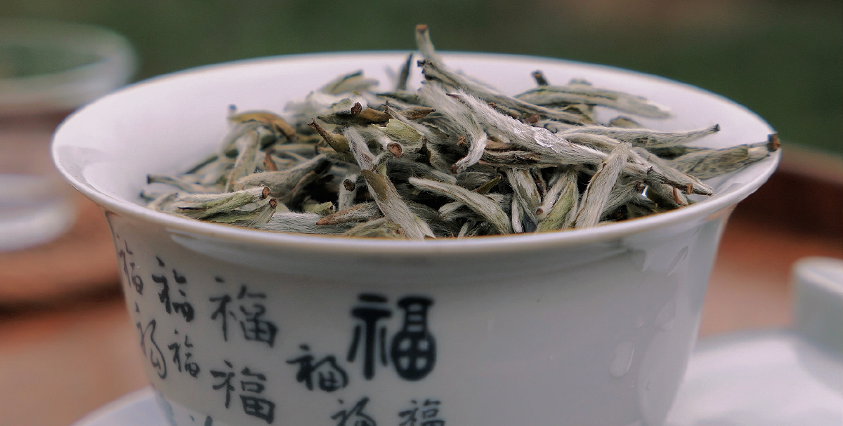 福鼎白茶茶庄排名