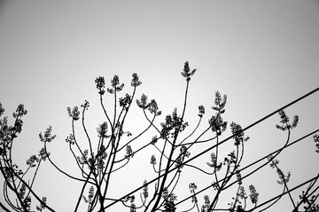 DSC_0126.jpg