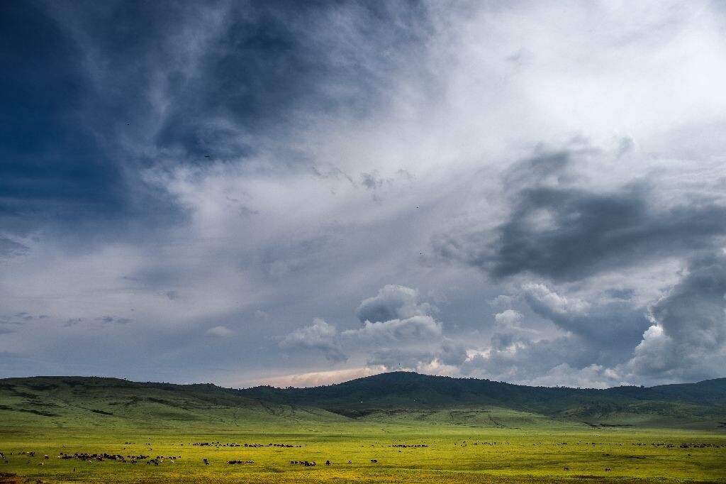 ngorongoro