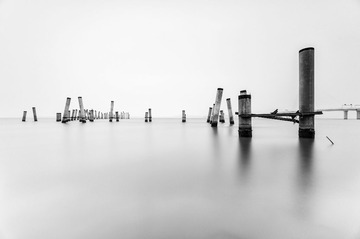 Shenzhen harbor