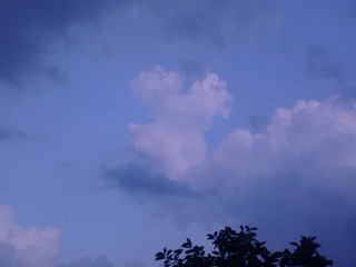 6FF86EA5-6466-43C8-9CB2-4B3614126FC0/L0/001