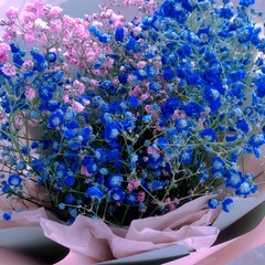70A084B3-50FE-4D57-AF10-836C93B44F2B/L0/001