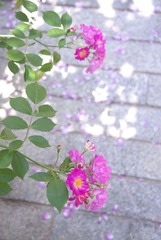 08