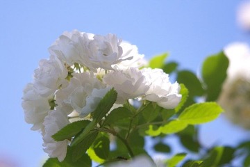 09