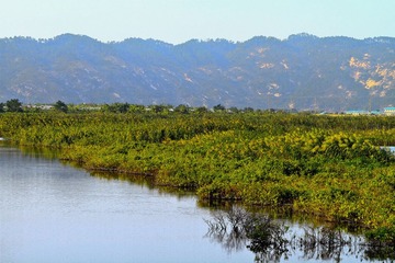IMG_9082.jpg