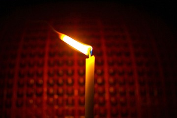 IMG_9921.jpg