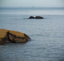 IMG_6809.JPG