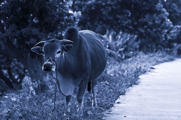IMG_1744.JPG