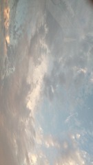 1077902