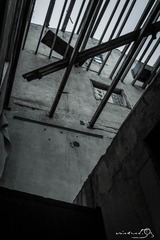 DSC02179.jpg