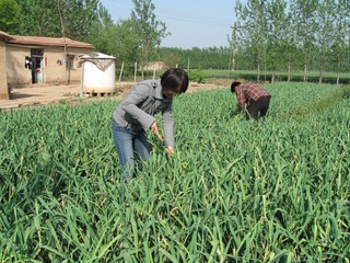 IMG_1693.JPG