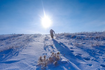 雪原独行