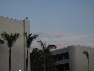 67FFE0B2-D61A-42D5-84ED-1F4591B2C37A/L0/001
