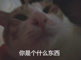 75233