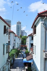 shanghai 323.jpg