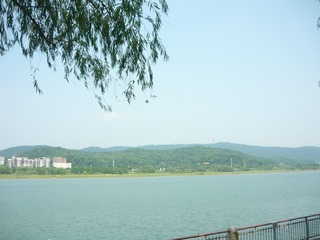 1025F872-5D08-43AC-AA9C-A912BD482623/L0/001