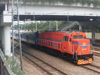 SDC10679.JPG
