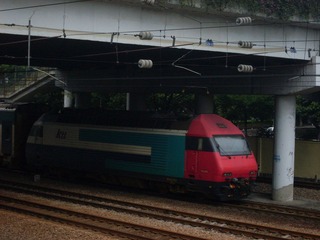 SDC10682.JPG