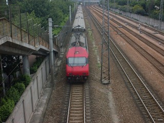SDC10687.JPG