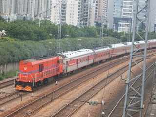 SDC10690.JPG
