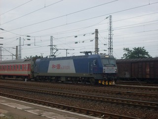 SDC10694.JPG