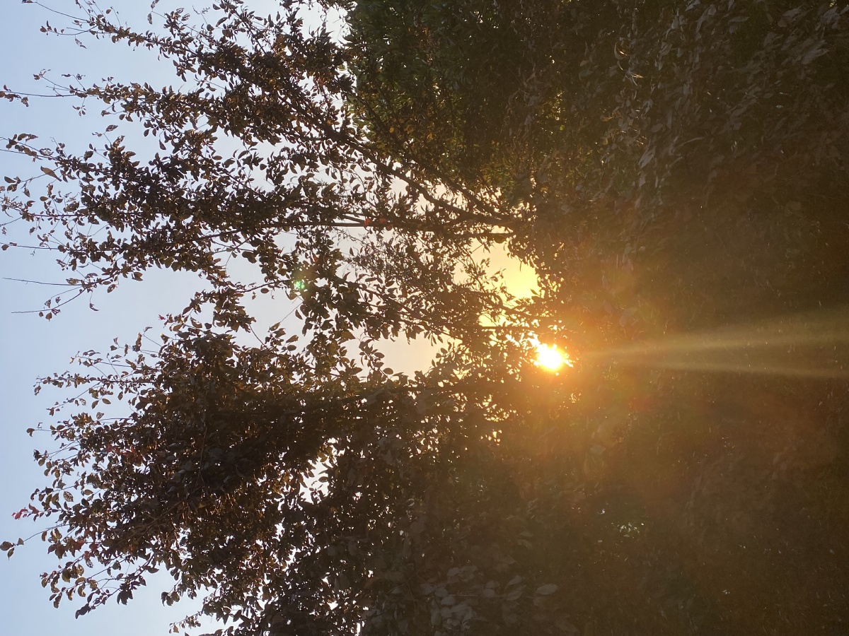 当产生丁达尔效应的时候,光就有了形状.