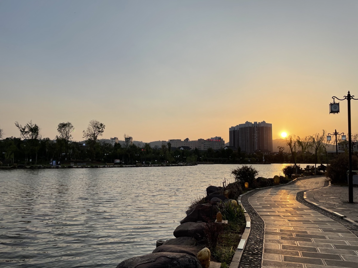 家乡美景大姚湿地公园花夕阳