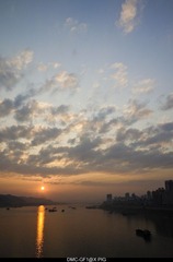 _1050761.jpg