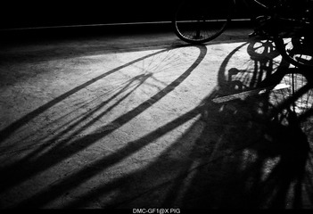 _1050314.jpg