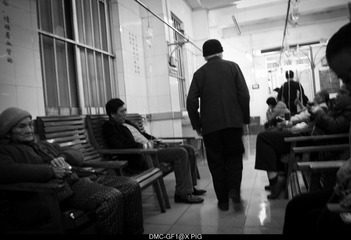 _1050892.jpg
