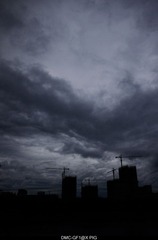 P1050937.jpg