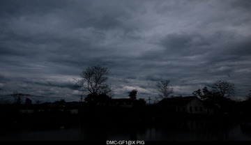 _1050945.jpg