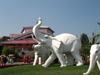 IMG_0002.JPG