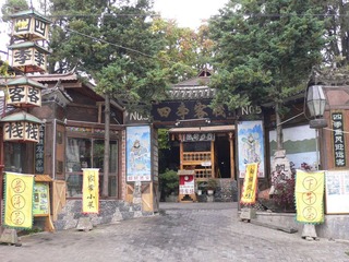 P1050009.jpg