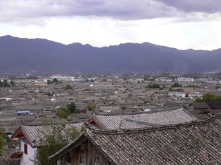 P1050068.jpg