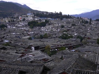 P1050069.jpg