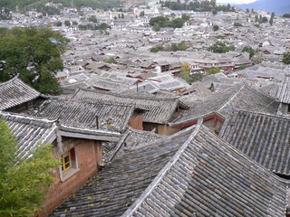 P1050072.jpg
