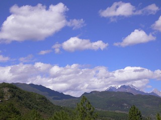 P1050076.jpg