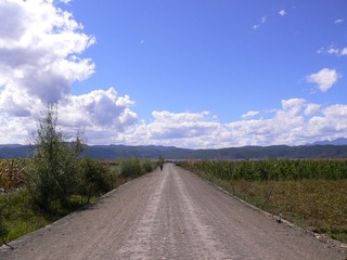 P1050078.jpg