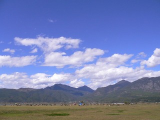 P1050080.jpg