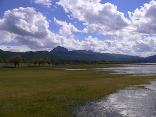 P1050082.jpg