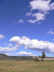 P1050093.jpg