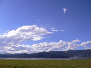 P1050103.jpg