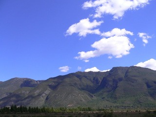 P1050123.JPG