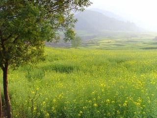 SSL26553.JPG