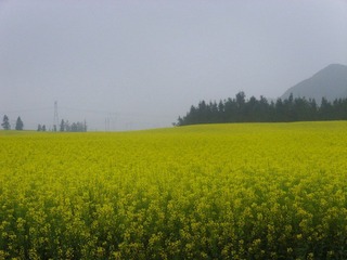 SSL26648.JPG