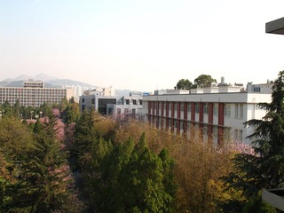 2007.03.16 校园风光 037.jpg